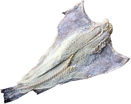 Bacalhau
